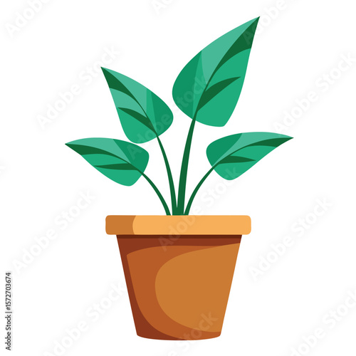 A houseplant in a simple pot, on a plain white surface, for home decor, nature, green, or indoor gardening.