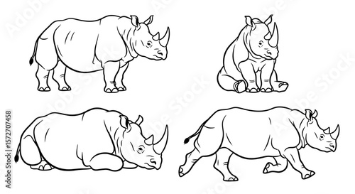 Indian rhinoceros in different poses on white background  