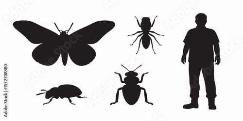 Insect Silhouettes and Human: A collection of intricately detailed insect silhouettes and a human silhouette, ideal for illustrating concepts related to entomology, nature, or comparative size.