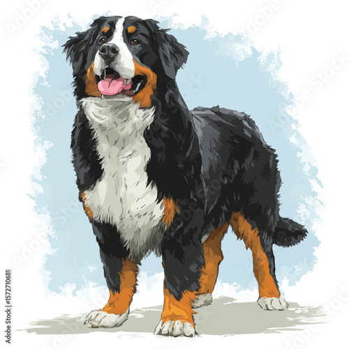 Realistic Bernese Mountain Dog – Full Color Standing Pose