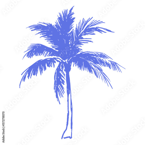 Hand drawn palm tree in chalk sketch vector style. Tropical coconut tree outline icon. Summer line art drawing for beach resort branding, stickers, surf posters, coastal designs.