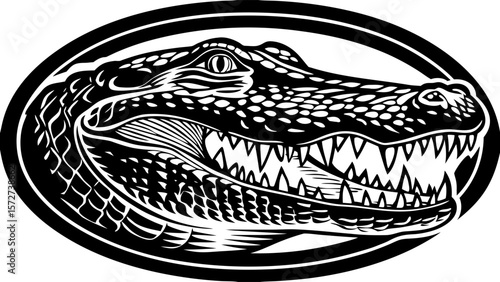 Aggressive Alligator Head Illustration in Black and White Oval Frame