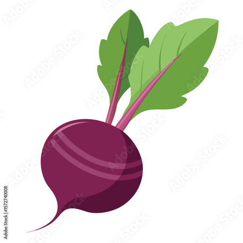 A single plump beetroot with a leafy top, isolated on white, for vegetables, healthy food, organic, or earthy produce.