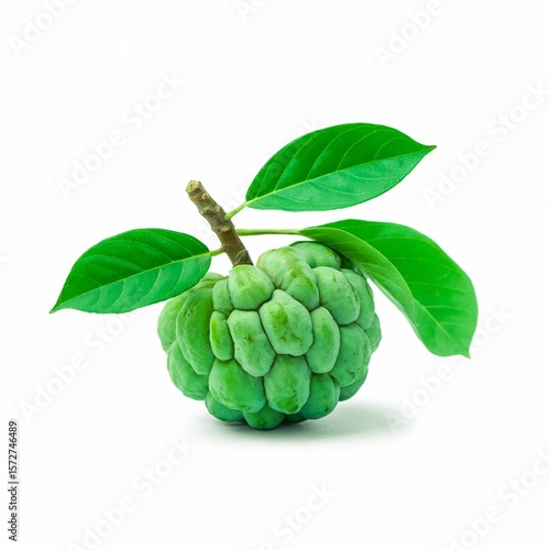 high-quality product photography shot of a single green cherimoya fruit against a pure white background