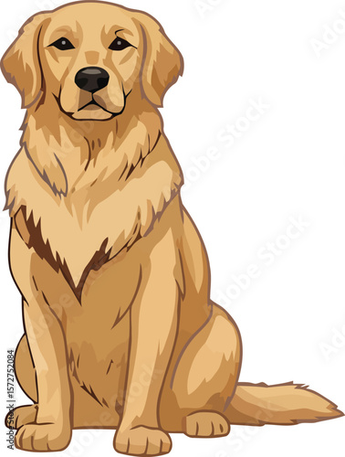 cute golden retriever puppy dog sits happily, an adorable purebred canine with a yellow coat, isolated on a white background