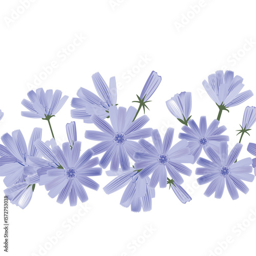 Floral horizontal border with blue chicory flowers. Hand drawn endless pattern for packaging, greeting cards, invitation. Vector illustration