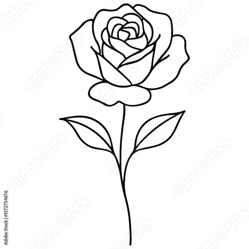 Beautiful single pink rose vector illustration on a white background, perfect for designs celebrating nature, love, and floral beauty