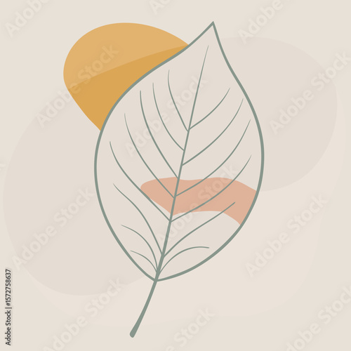 A bold black silhouette of a beech (Fagus) leaf,