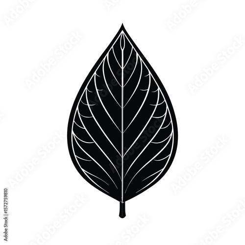 A bold black silhouette of a poplar (Populus) leaf,