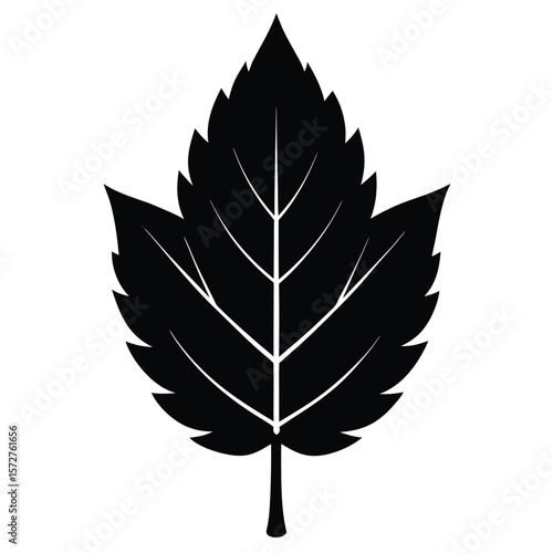 A bold black silhouette of an ash leaf, lanceolate to oblong shape with serrated edges, 