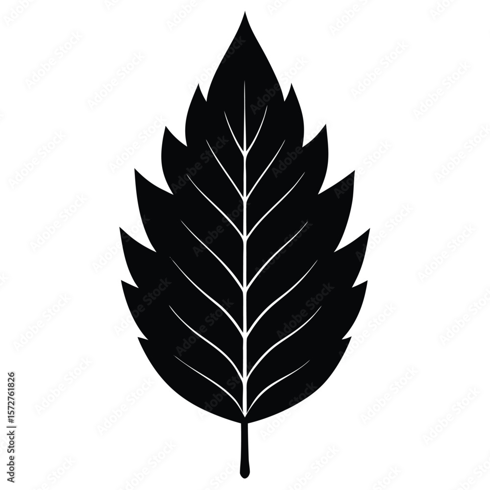 Fototapeta premium A bold black silhouette of an ash leaf, lanceolate to oblong shape with serrated edges, 