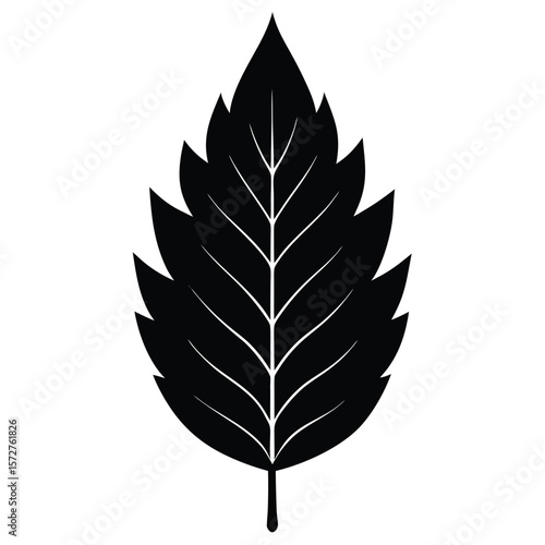  A bold black silhouette of an ash leaf, lanceolate to oblong shape with serrated edges, 