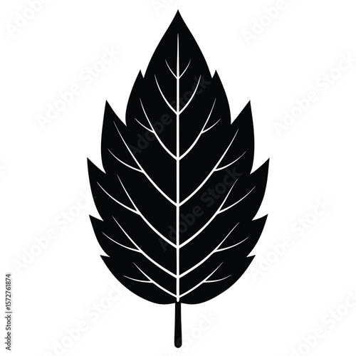  A bold black silhouette of an ash leaf, lanceolate to oblong shape with serrated edges, 