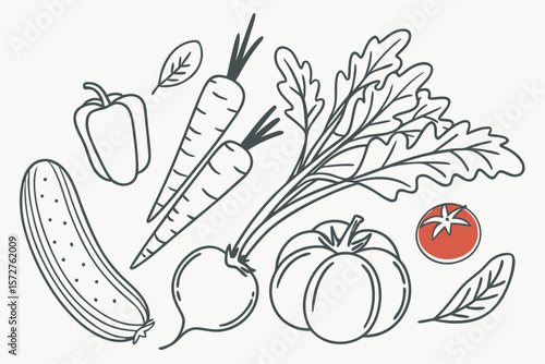 A simple line drawing of fresh vegetables including carrots, peppers, and pumpkins