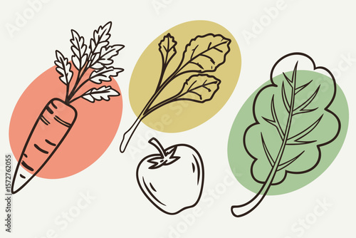 A colorful collection of vegetables for a balanced diet