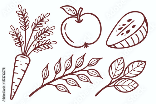 A vibrant assortment of fruits and vegetables for a balanced diet