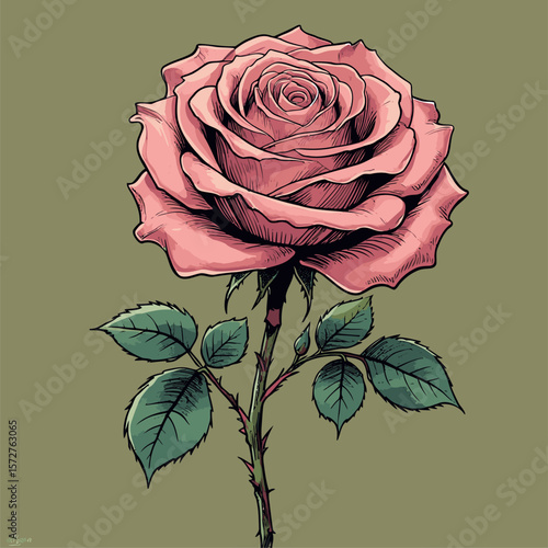 vector rose flower illustration for design needs