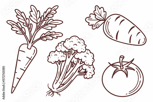 A delightful illustration of fresh carrot, tomato, and cauliflower
