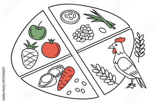 A food plate shows a balanced diet with chicken, fruit, and vegetables