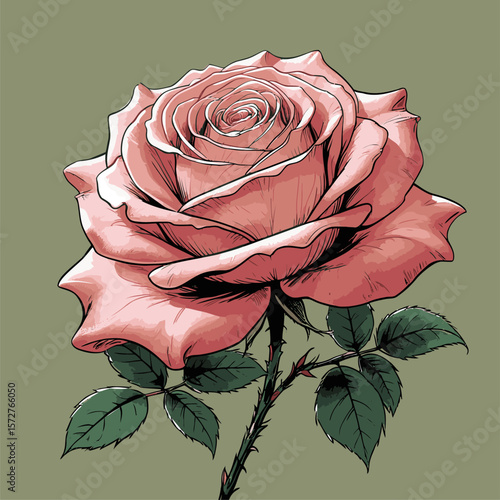 vector rose flower illustration for design needs