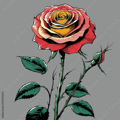 vector rose flower illustration for design needs