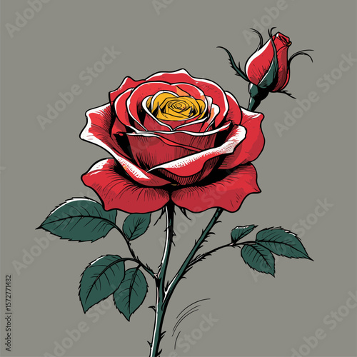 vector rose flower illustration for design needs
