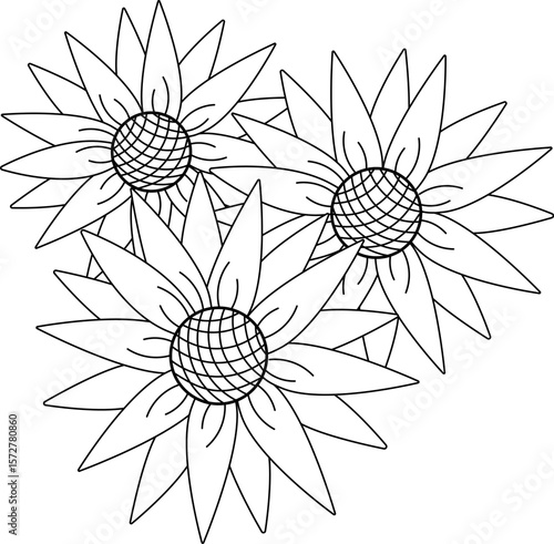 Sunflower bouquet composition. Vector graphic line illustration. Silhouette sign for logo, print, comics, fashion, pop art, boards, design, stickers, decoration, posters