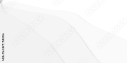 White background abstract design. have space for text creative. gray and white abstract background wavy modern vector illustration. soft wooden curve abstract modern style white background.