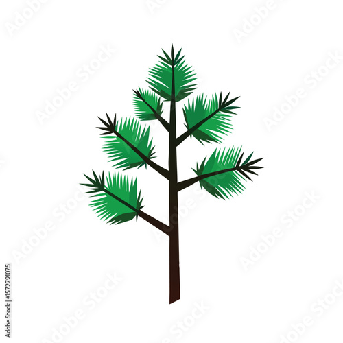 Green palm tree isolated on white background