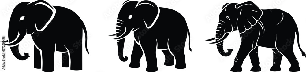 Fototapeta premium Collection of Various Elephant Poses and Styles in Black Silhouette on White Background silhouette