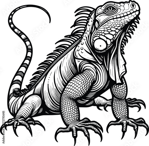 Realistic Iguana engraving line art Vector illustration isolated on a white background