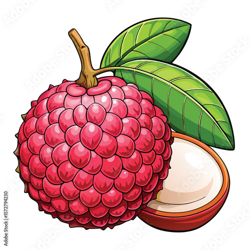 Vibrant lychee fruit illustration (1)