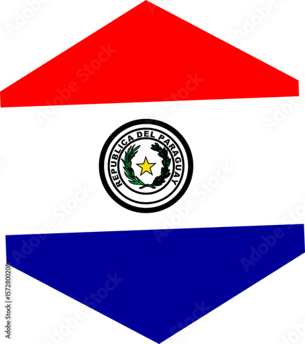 Paraguay Map and National Flag Design Illustration