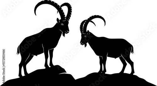 Two ibex silhouettes one standing on a rock the other on the ground in a black and white illustration editable vector