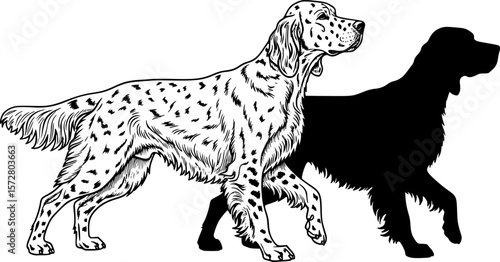 Illustration of two english setter dogs one in outline and one in solid black silhouette style image editable vector