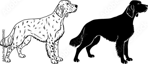 Illustration of two english setter dogs one in outline and one in solid black silhouette style image editable vector