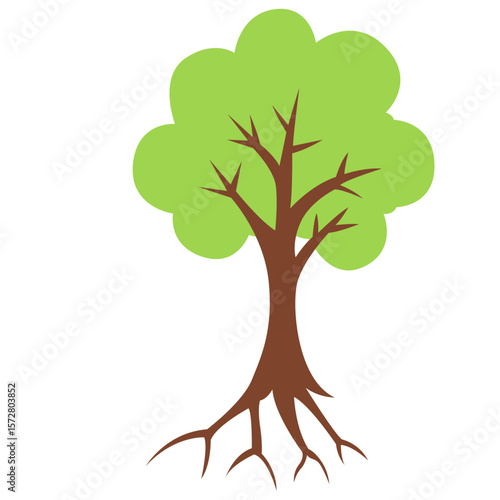 Green tree with visible roots, symbolizing stability and growth in a natural setting.

