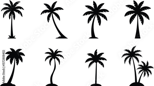 Set of tropical palm trees and coconut tree silhouette. Palm tree silhouettes set. Design Of Palm Trees For Posters, Banners, And Promotional Items. Vector Illustration.