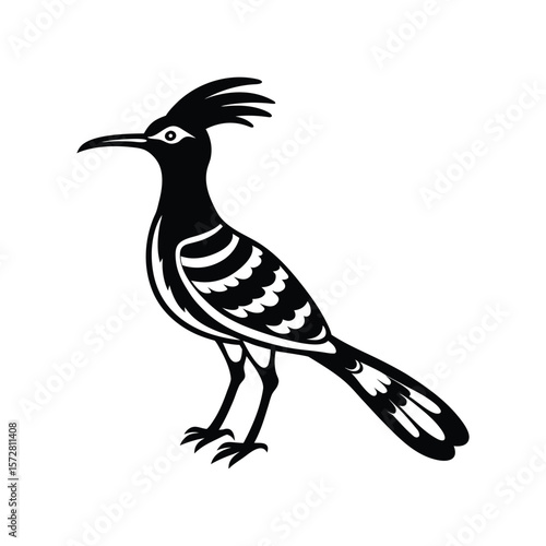 vector illustration of a bird