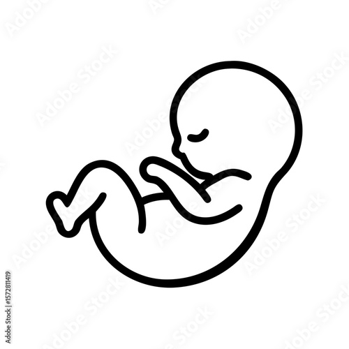 Developing baby fetus in womb icon for medical and educational use