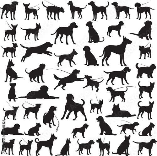 silhouettes of dogs