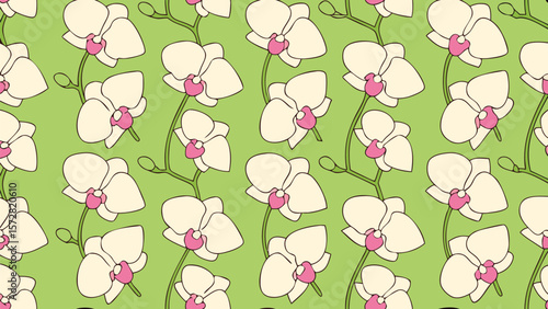 Wallpaper Mural Seamless pattern of white orchids with pink centers on a light green background design repeat floral Torontodigital.ca