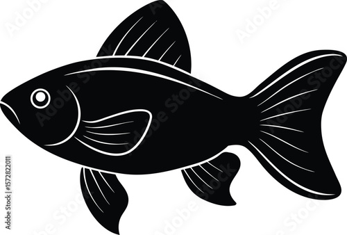 vector illustration of a fish