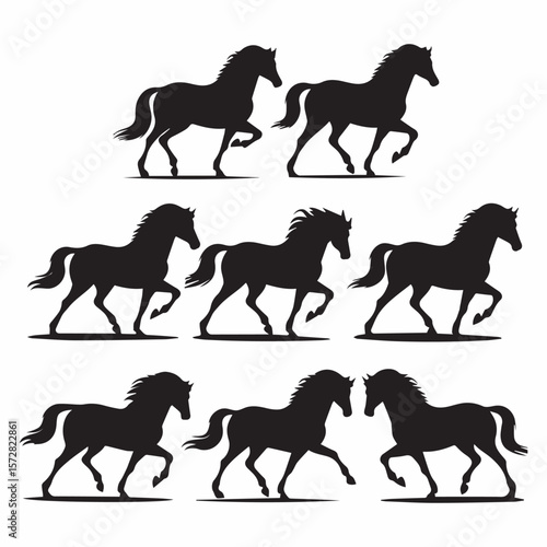 Set of Black Horse 
