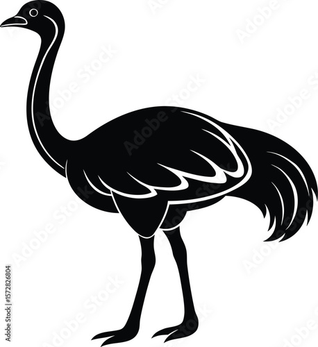 vector illustration of a ostrich