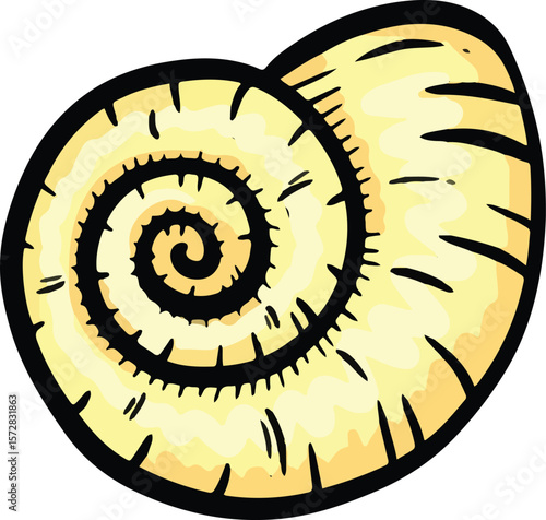 Hand drawn clipart illustration of seashell shell mollusc seaside shellfish 