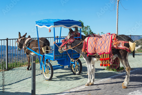 Fotografía donkey and carriage