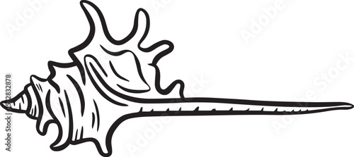 Hand drawn clipart illustration of seashell shell mollusc seaside shellfish 
