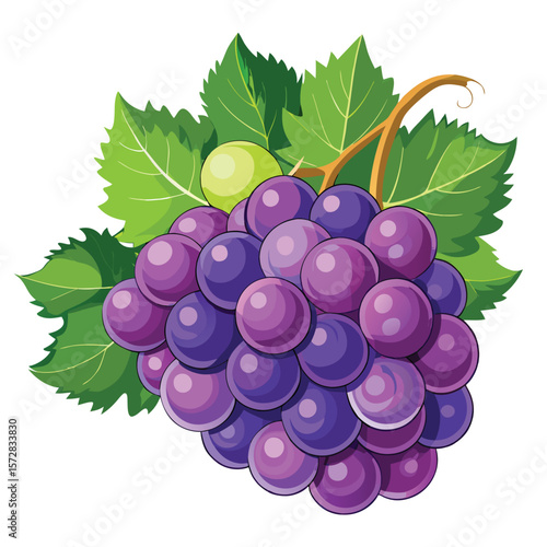 Cluster of purple grapes with leaves