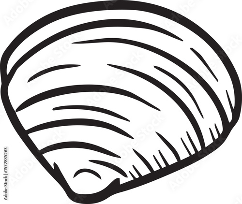 Hand drawn clipart illustration of seashell shell mollusc seaside shellfish 